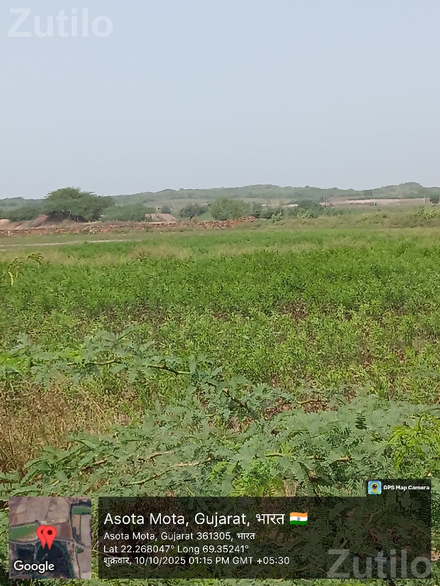 10 Vigha Road Touch Land with Clear Title