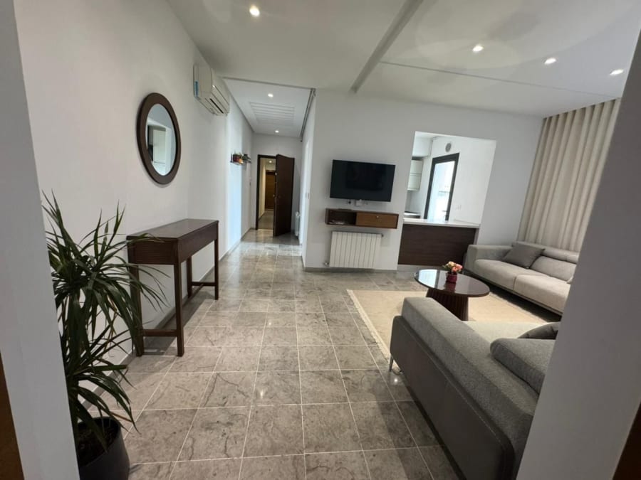 Elegant Apartment