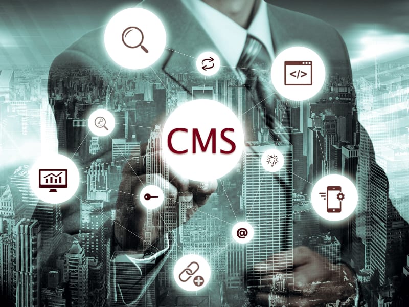 The Impact of Website Structure and Design on User Experience