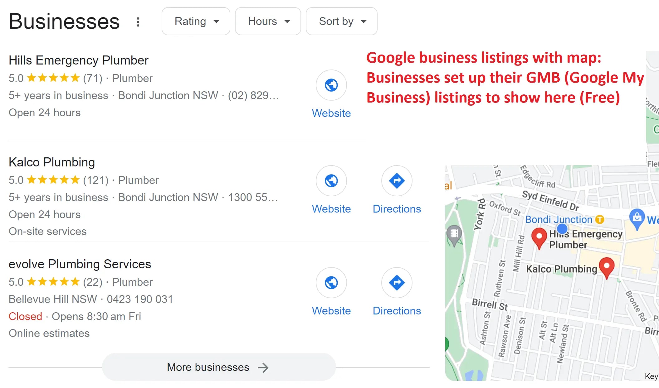 SERP sample - GMB