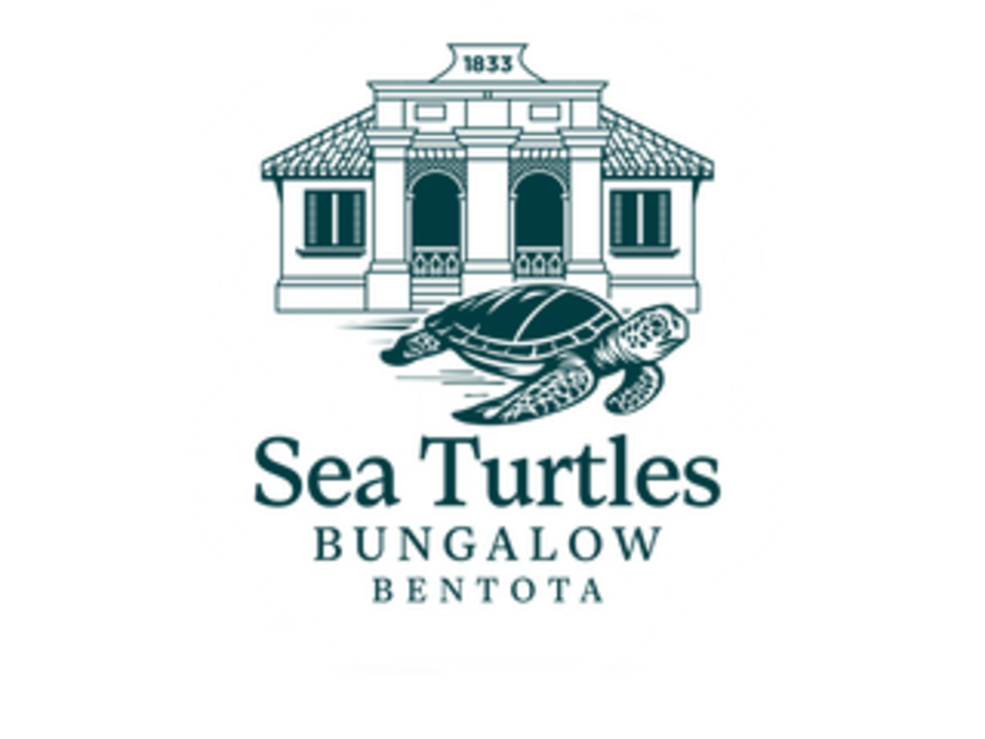 Sea Turtles logo
