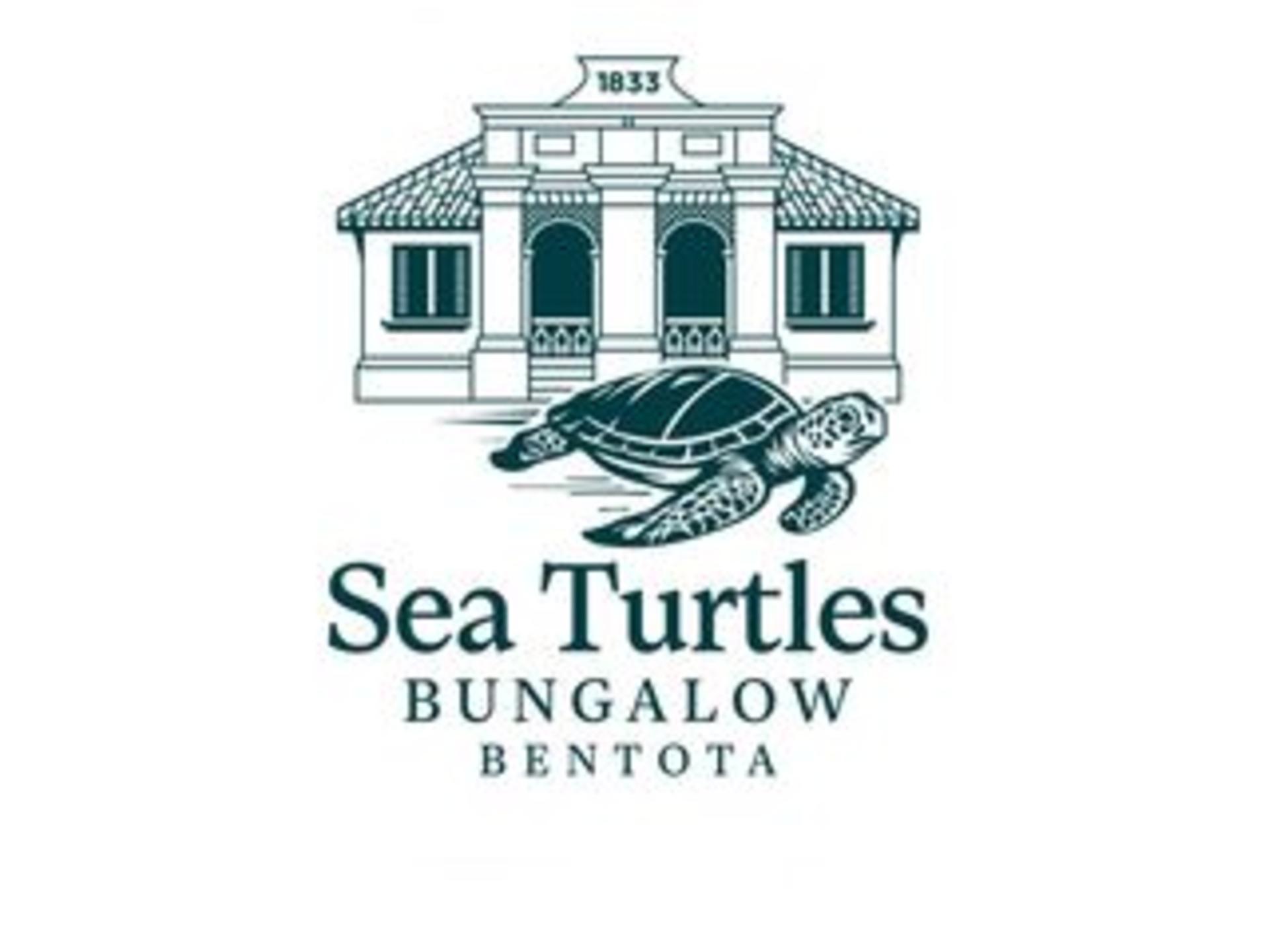 Sea Turtles logo