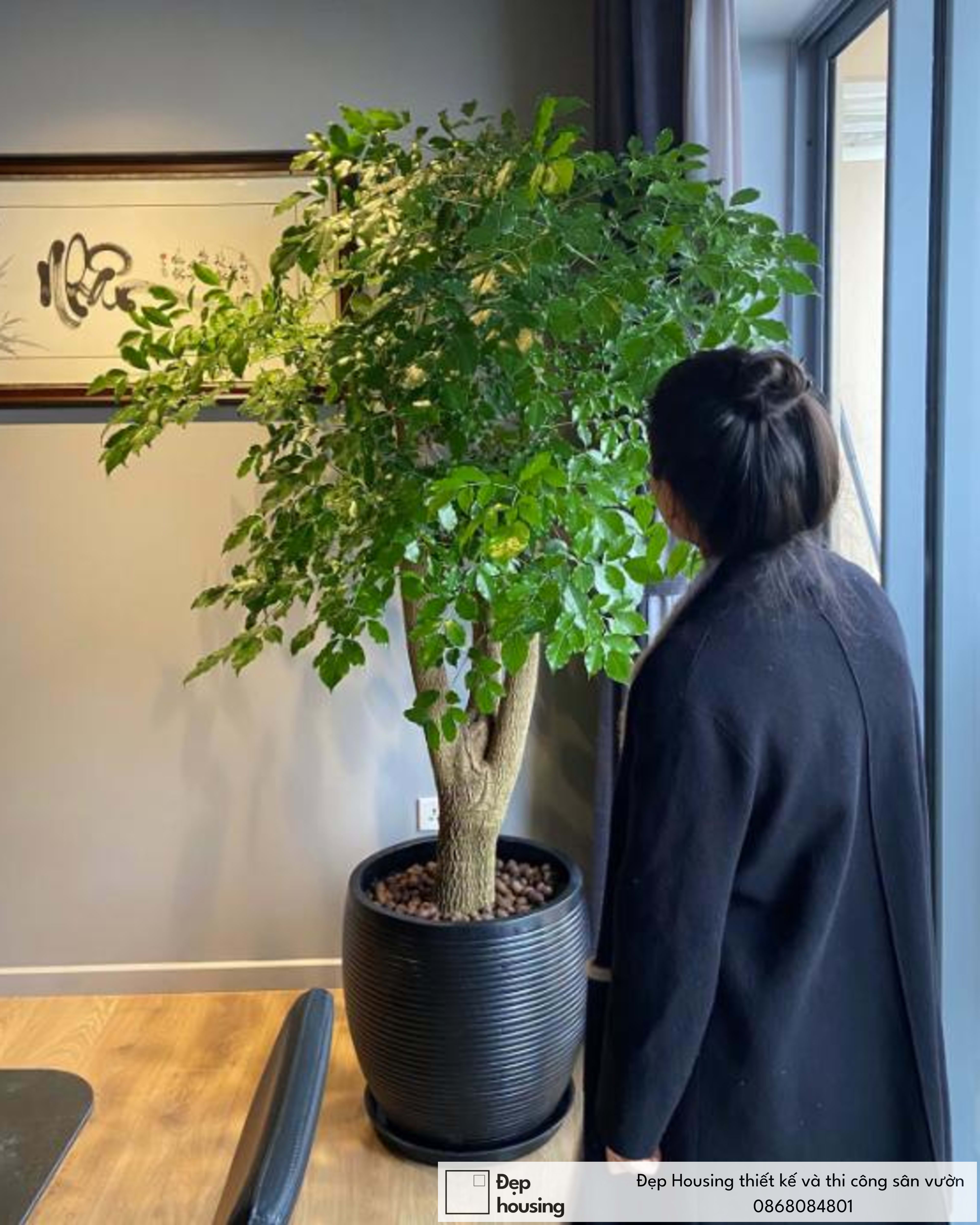 Hạnh phúc gốc lớn
