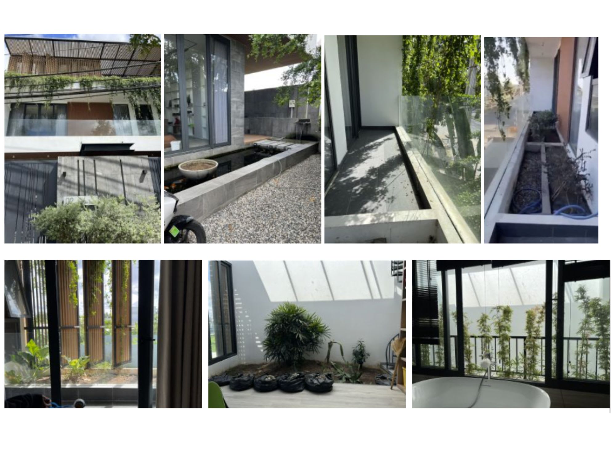 Trang trí cây xanh nhà phố tại TP Bến Tre