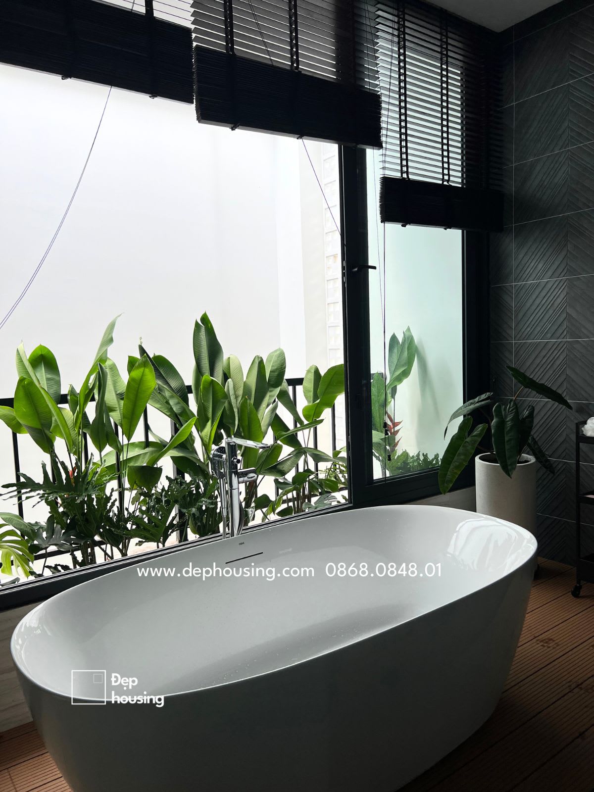 Trang trí cây xanh nhà phố tại TP Bến Tre