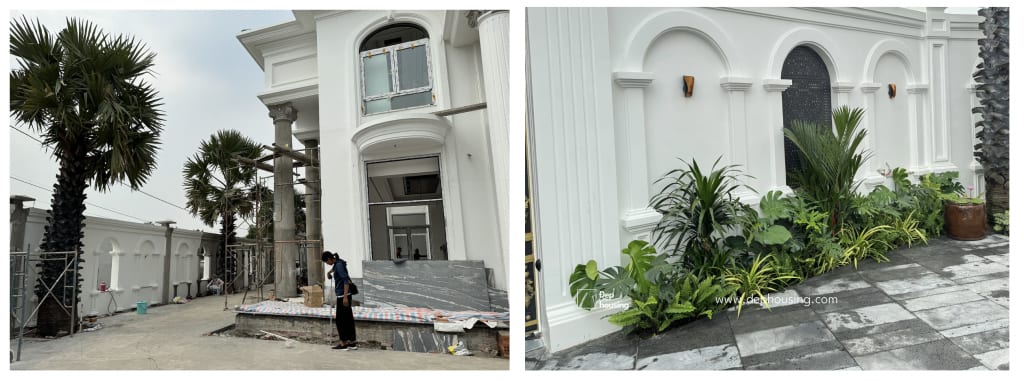 Trồng cây trang trí nhà đẹp tại Củ Chi