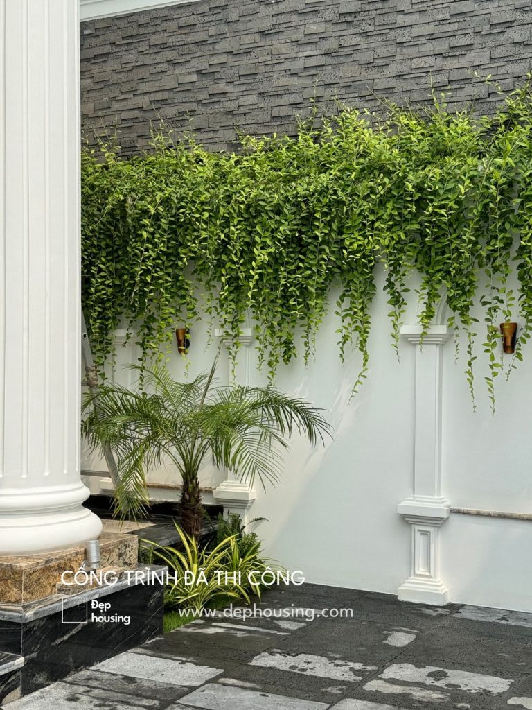 Trồng cây trang trí nhà đẹp tại Củ Chi