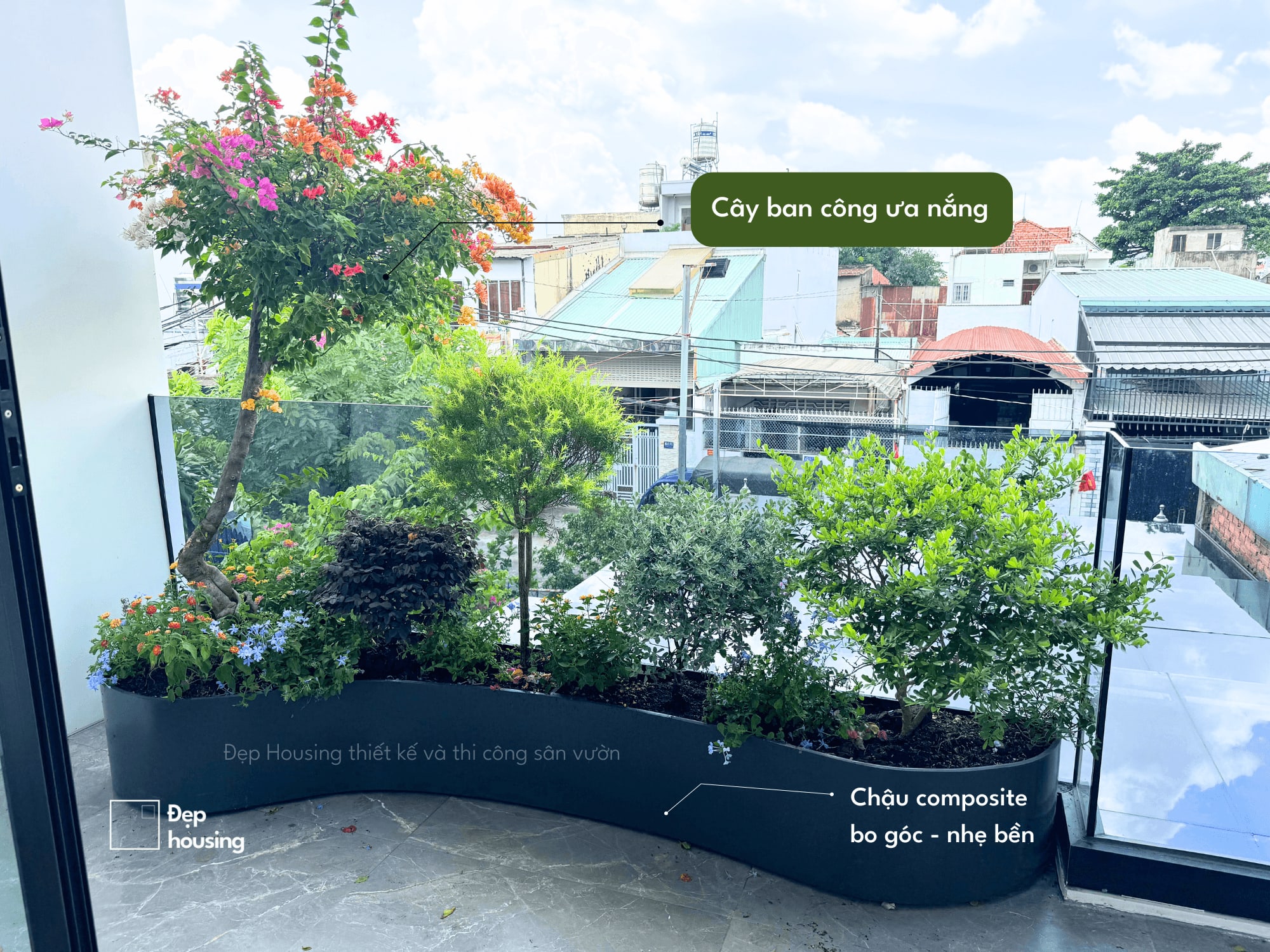 Ban công hướng Tây trồng cây gì để sống qua mùa nắng?