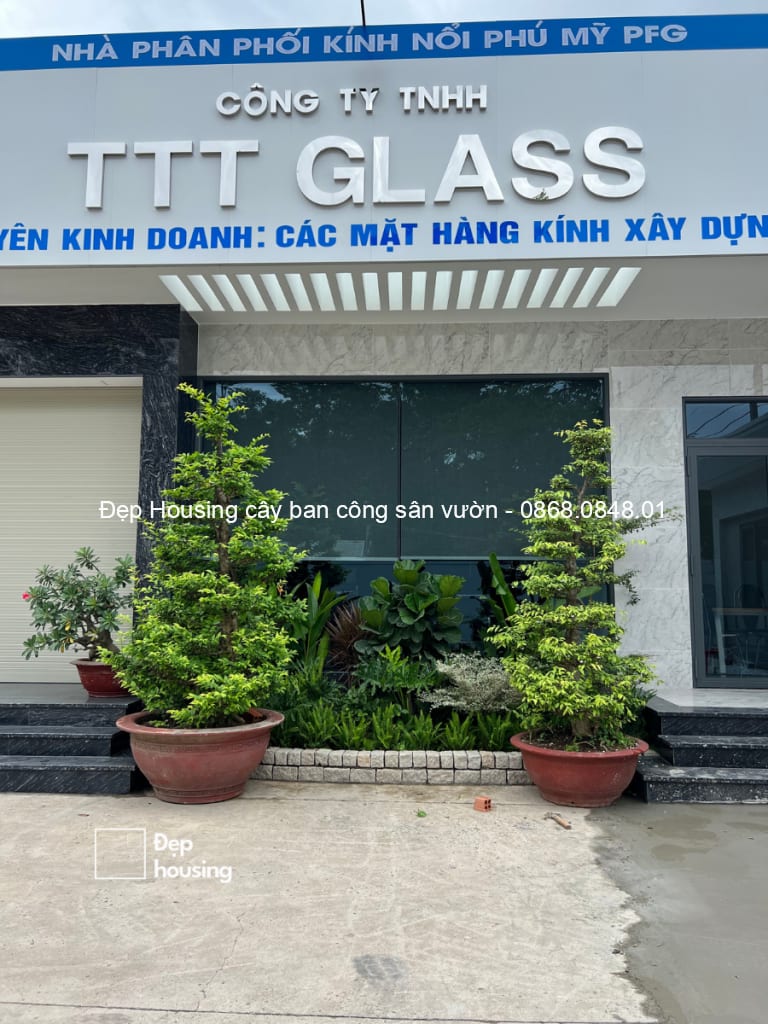 Cảnh quan công ty TTT Glass, Đồng Nai — ảnh 5