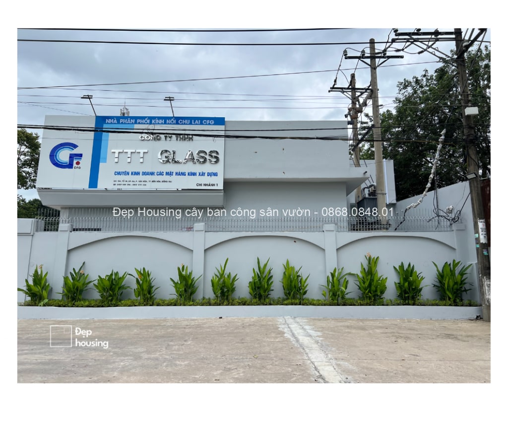 Cảnh quan công ty TTT Glass, Đồng Nai — ảnh 6