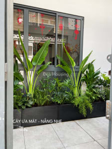 Vườn nhiệt đới Tropical Garden — ảnh 2