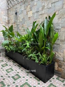 Vườn nhiệt đới Tropical Garden — ảnh 3