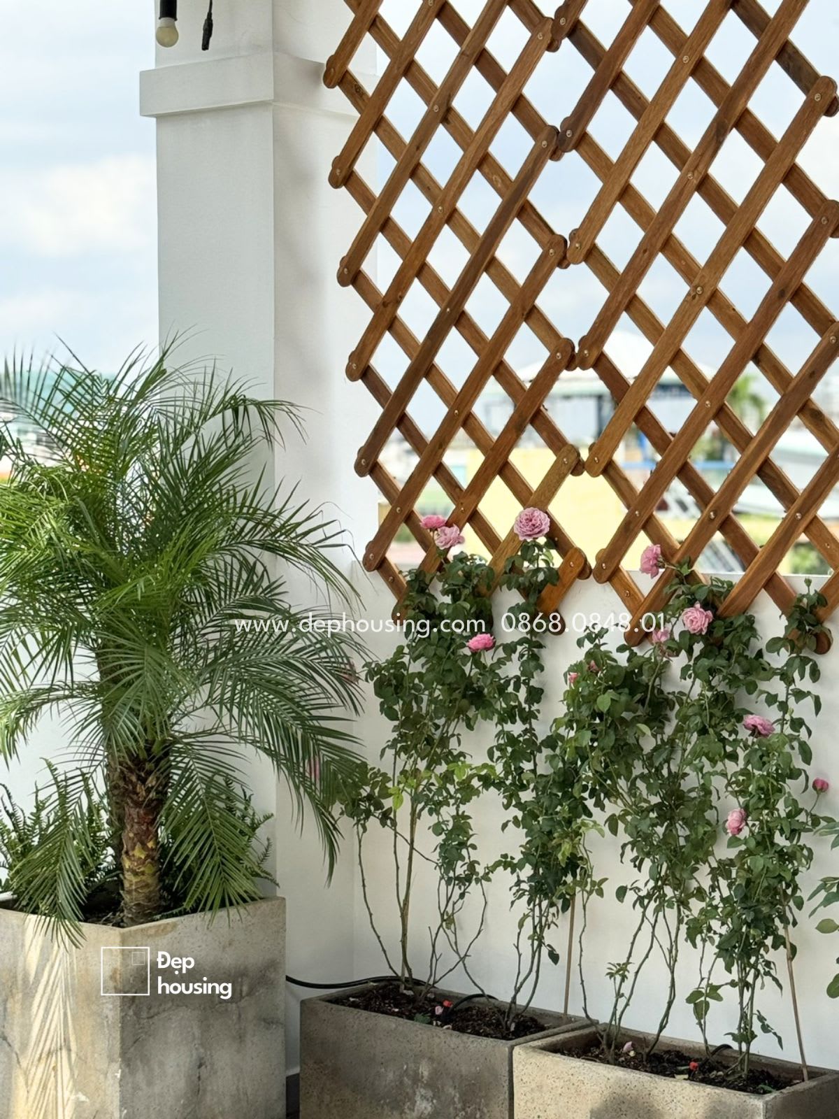 Sân thượng Bình Thạnh — ảnh 6