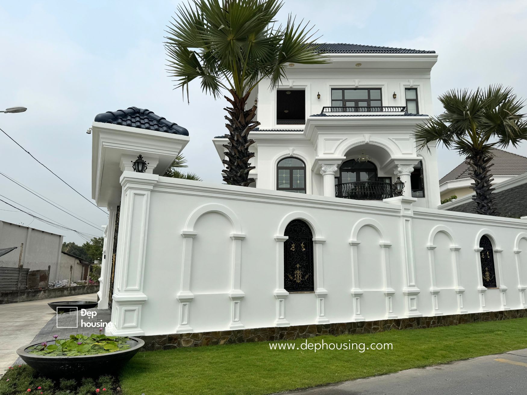 Cây trang trí nhà đẹp