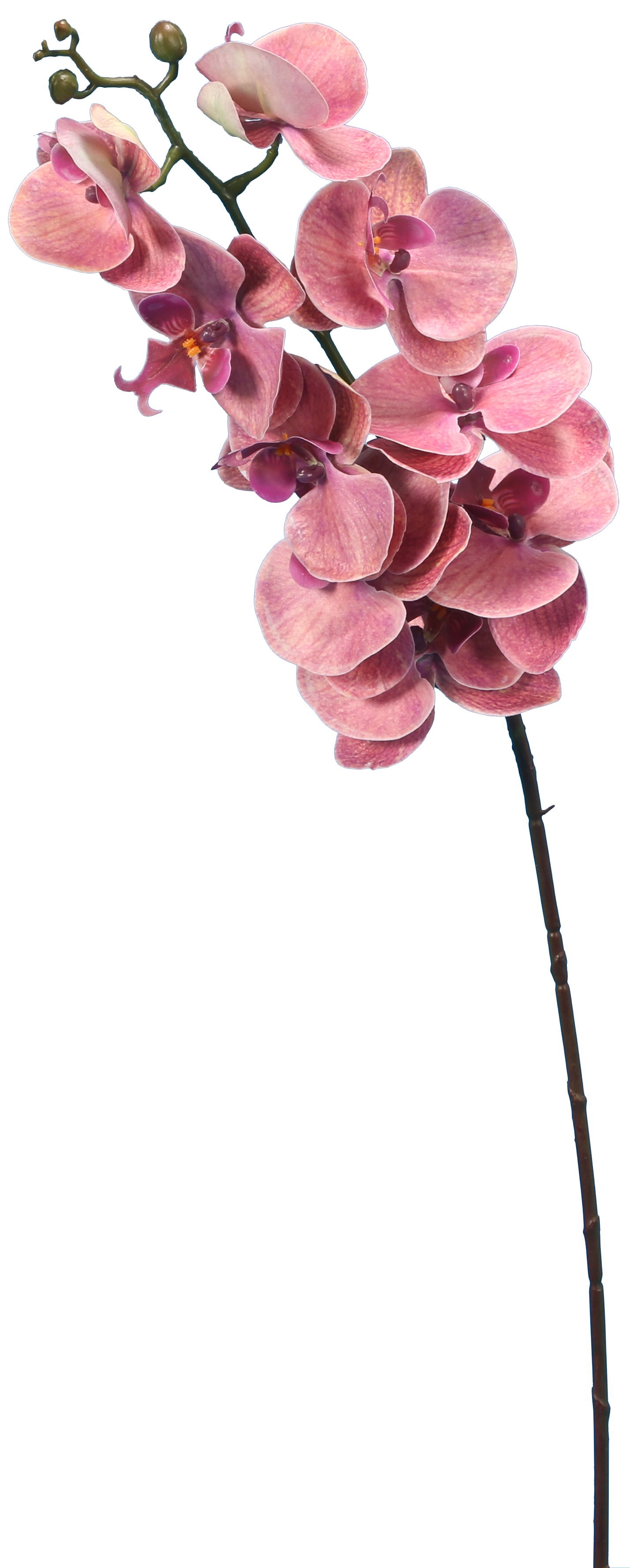 Tige d'orchidée artificielle rose poudré, élégance intemporelle