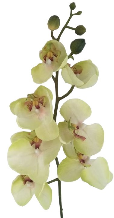 Branche d'Orchidée Artificielle Réaliste Vert Pâle