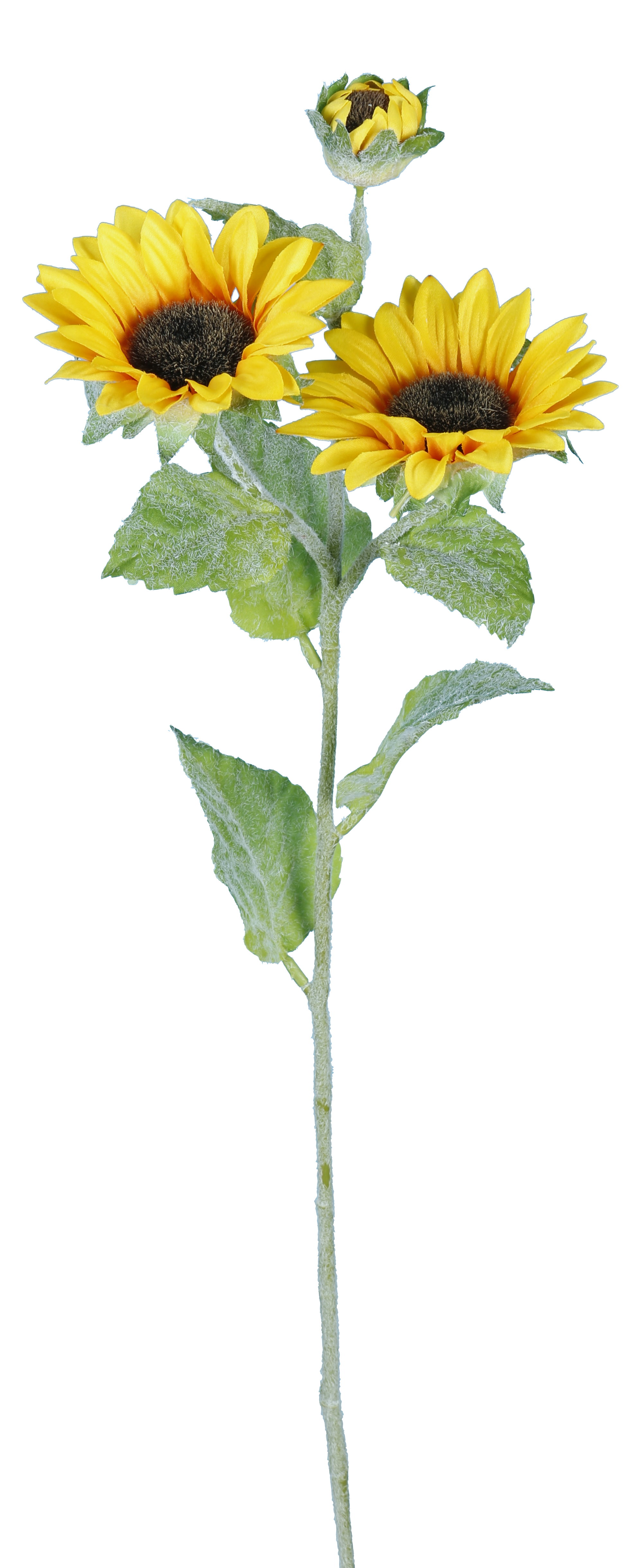 Stéle Soleil