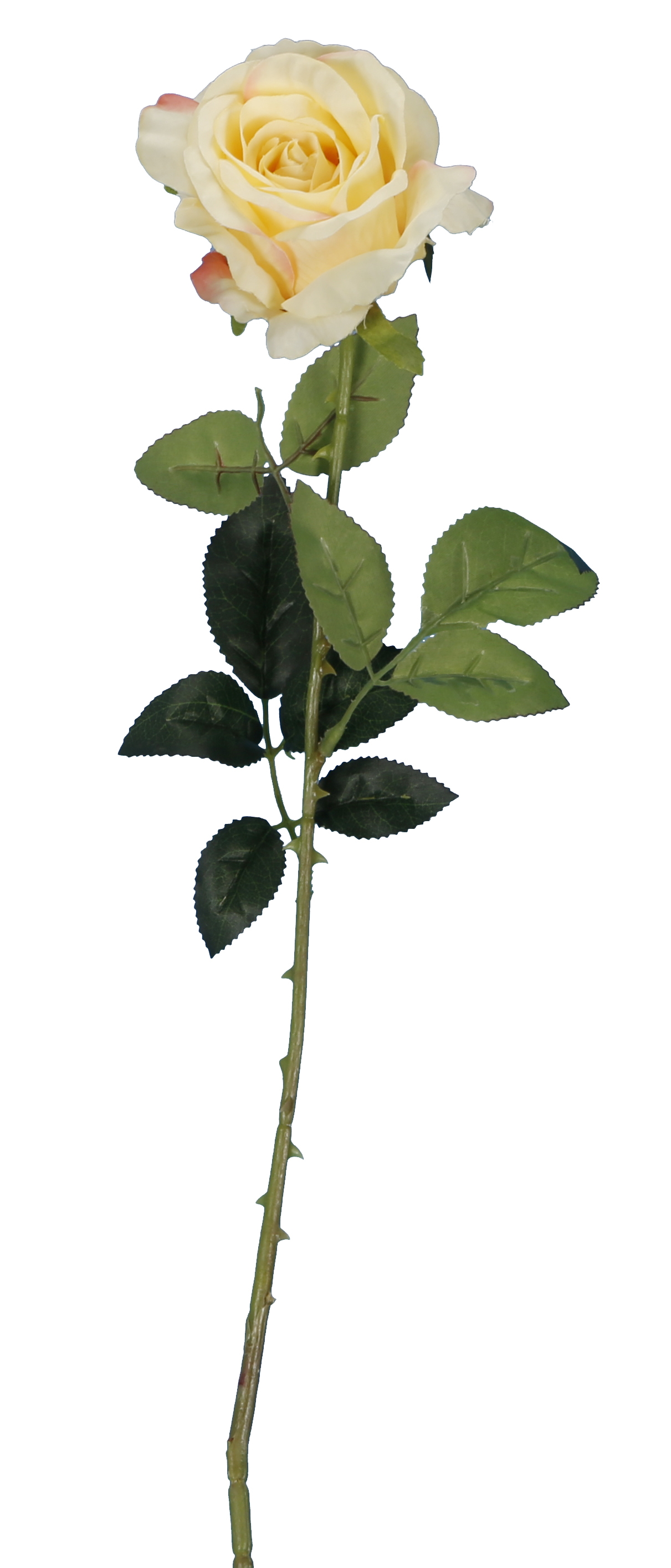Tige Rose Artificielle