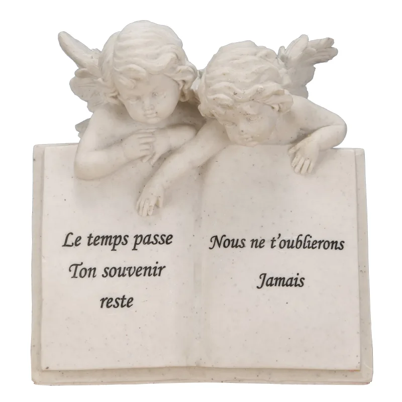 2 Anges Sur Livre