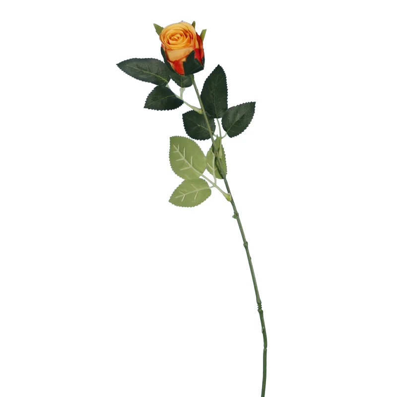 Ro16) Rose Bouton Assortis