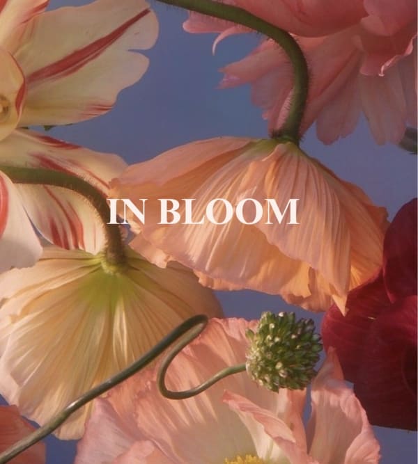 In Bloom floral fashion collection