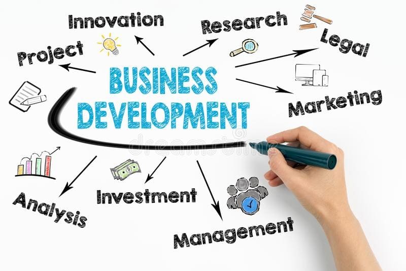 Business Development Executive