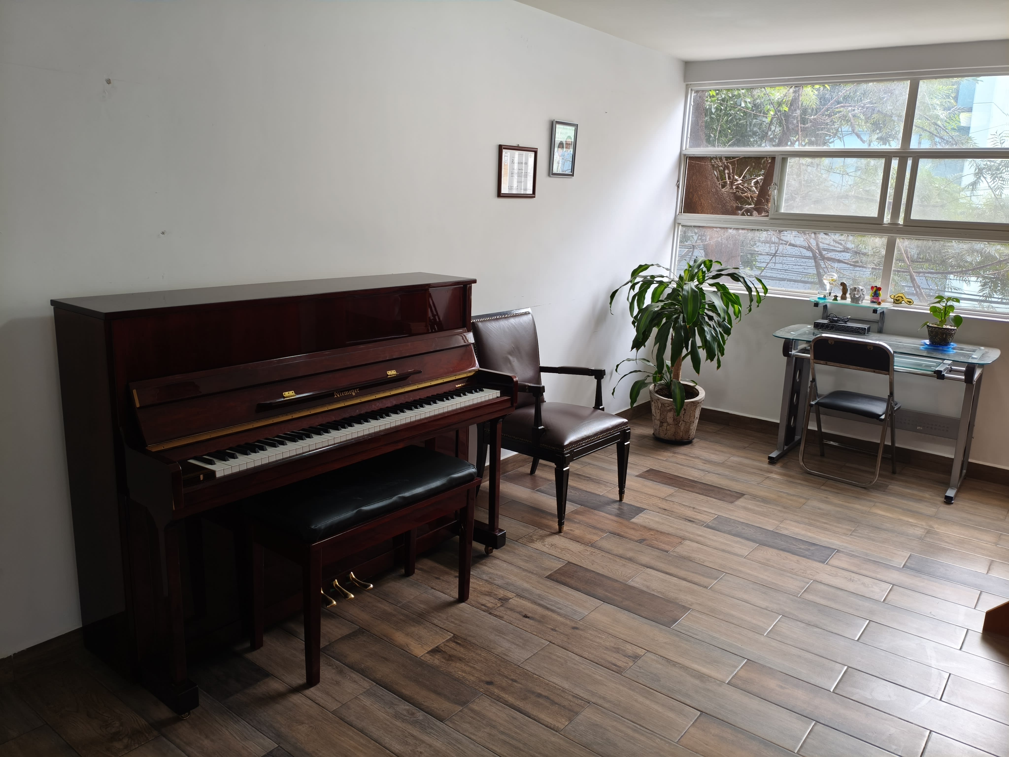 Profesor enseñando Celo