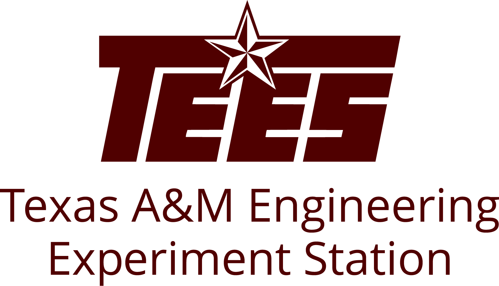 System Analysis FE Lab, TEES