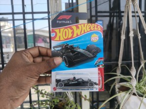 MERCEDES-AMG PETRONAS FORMULA ONE TEAM