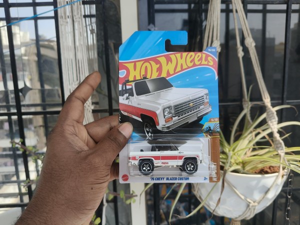 75 CHEVY BLAZER CUSTOM