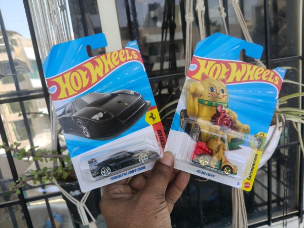 box damage ferrari and feline lucky