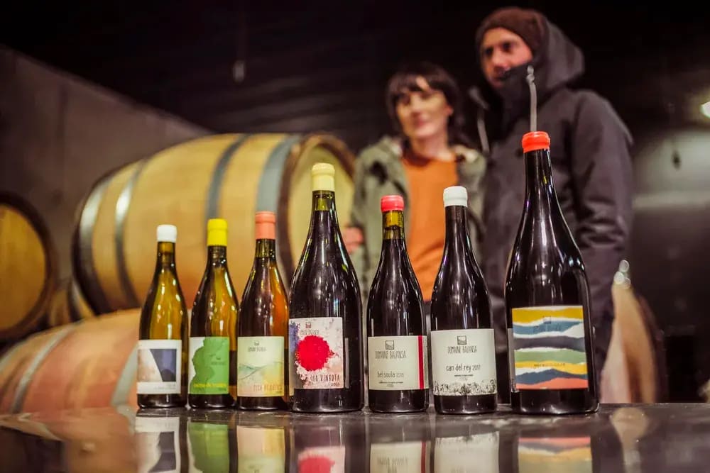 Domaine Balansa — vue 7
