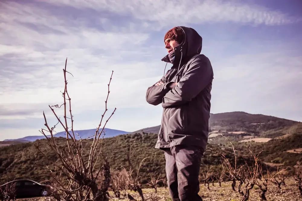 Domaine Balansa — vue 5