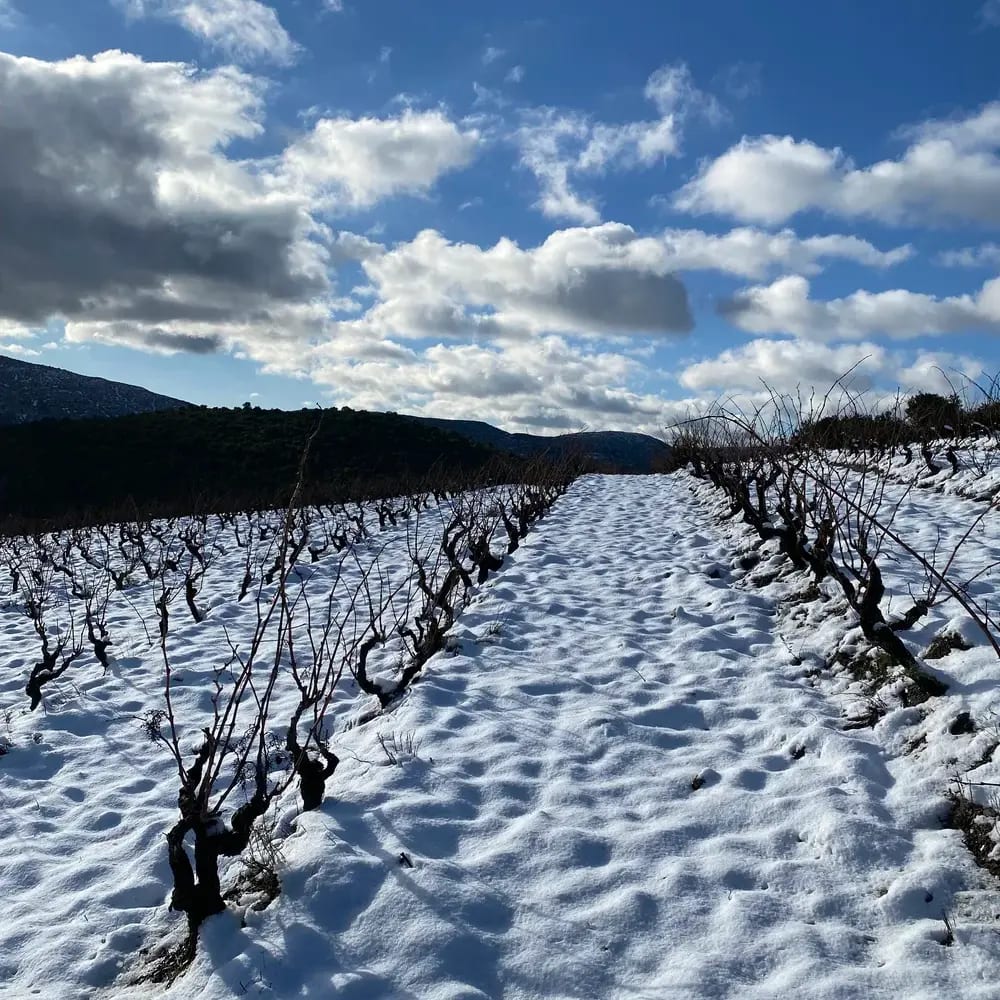 Domaine des Ardoises — vue 4