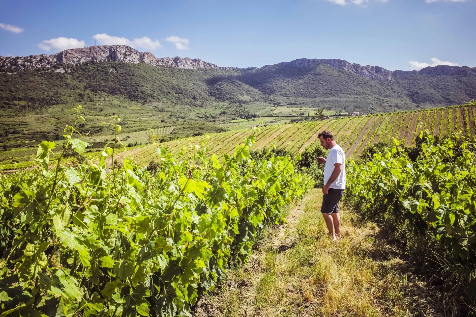 Domaine Benastra — vue 6