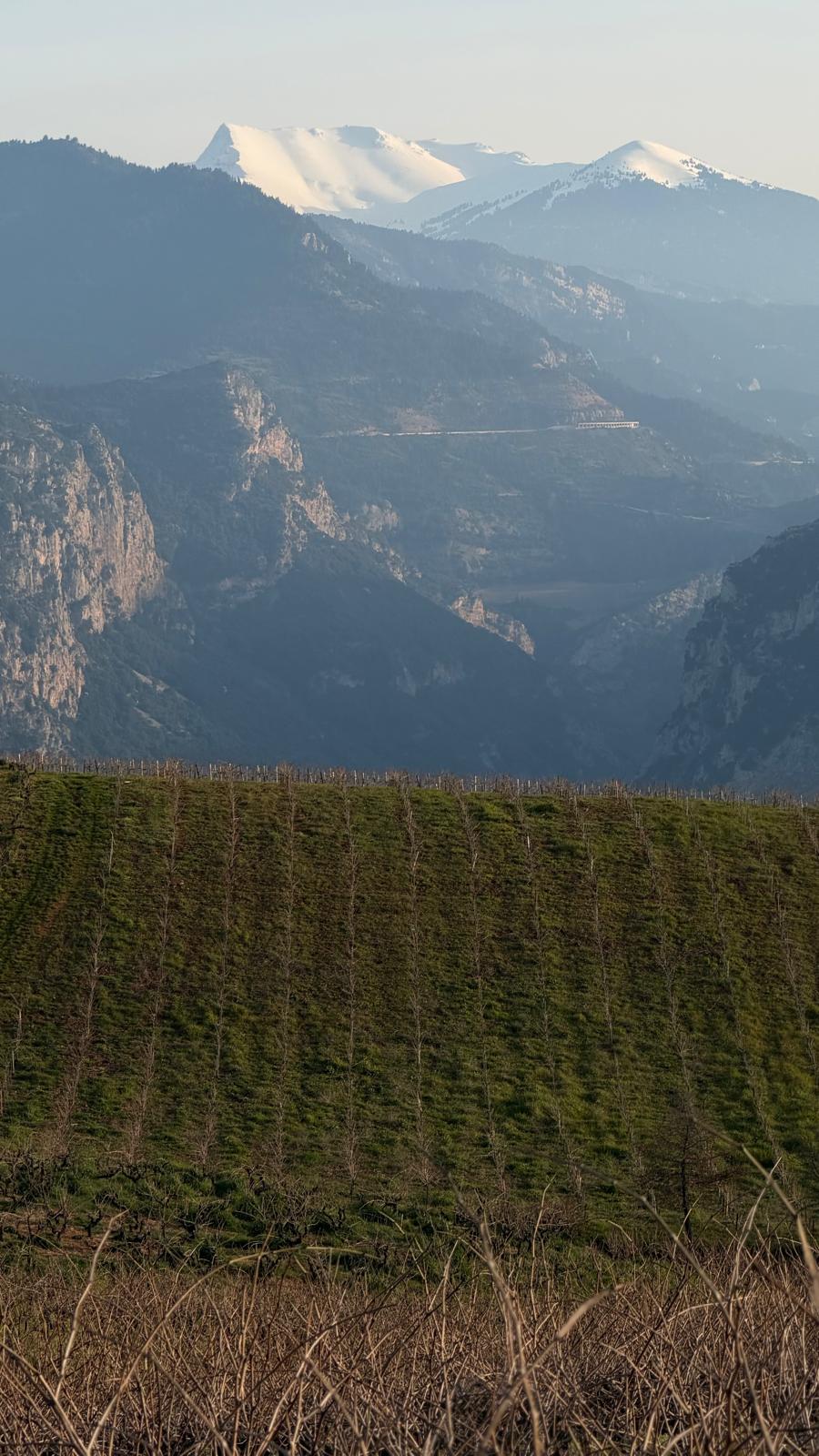 Domaine Tetramythos — vue 1