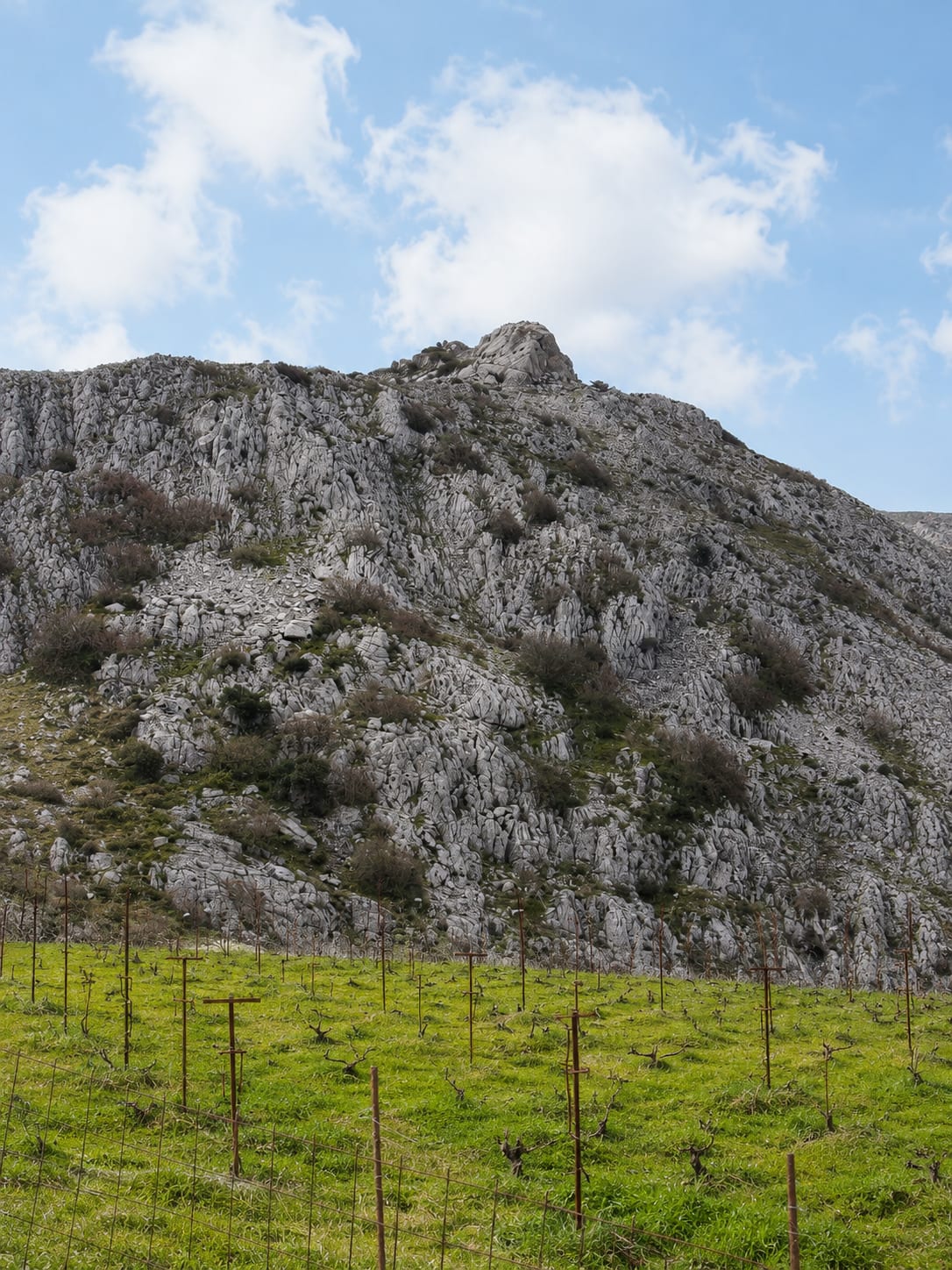 Domaine Zoumberakis — vue 3