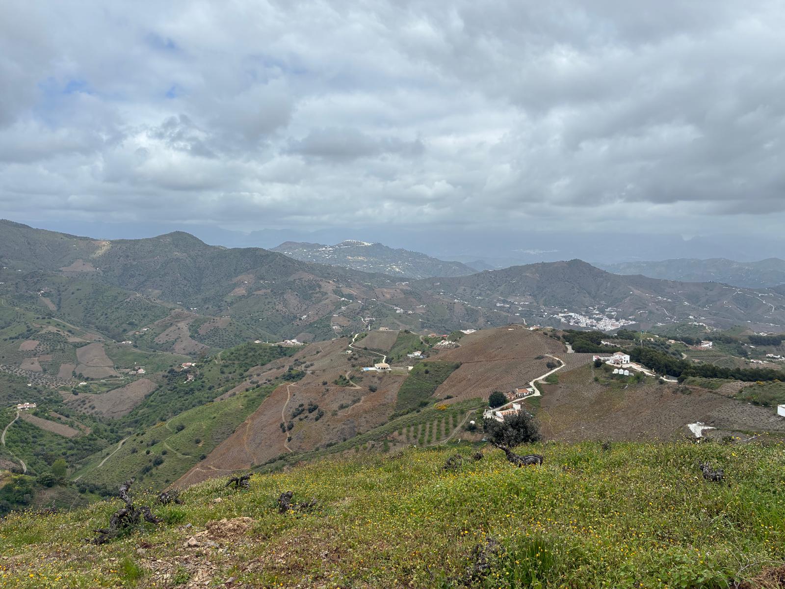 Viñedos Verticales — vue 3