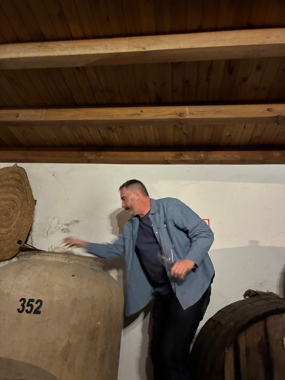 Viñedos Verticales
