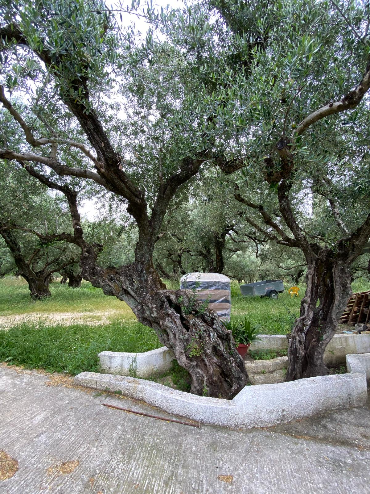 Domaine Kefallinos — vue 3