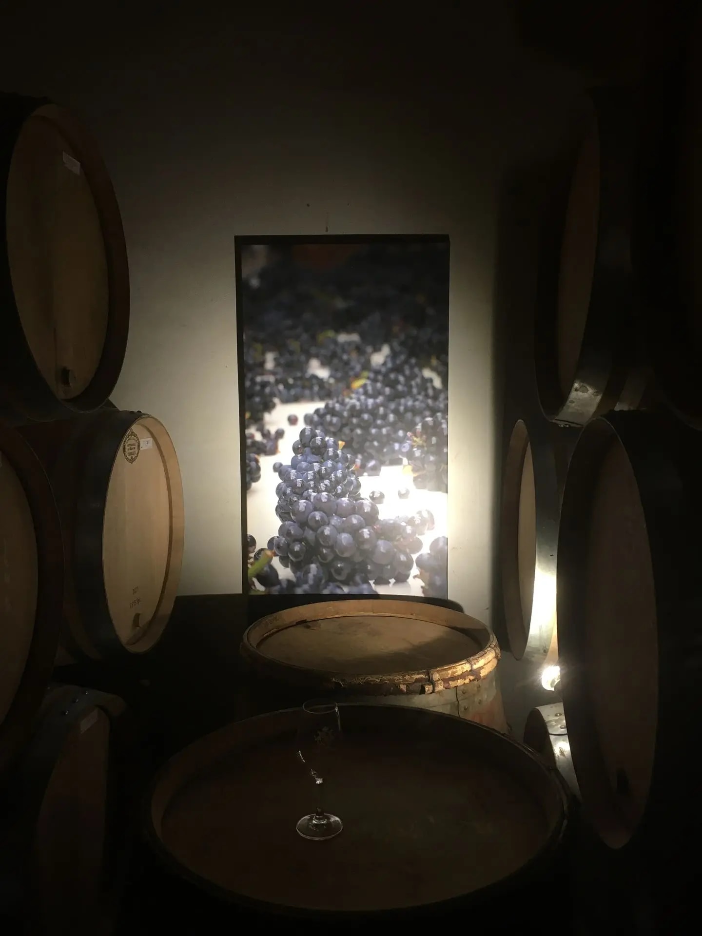 Domaine Huber-Verdereau — vue 2