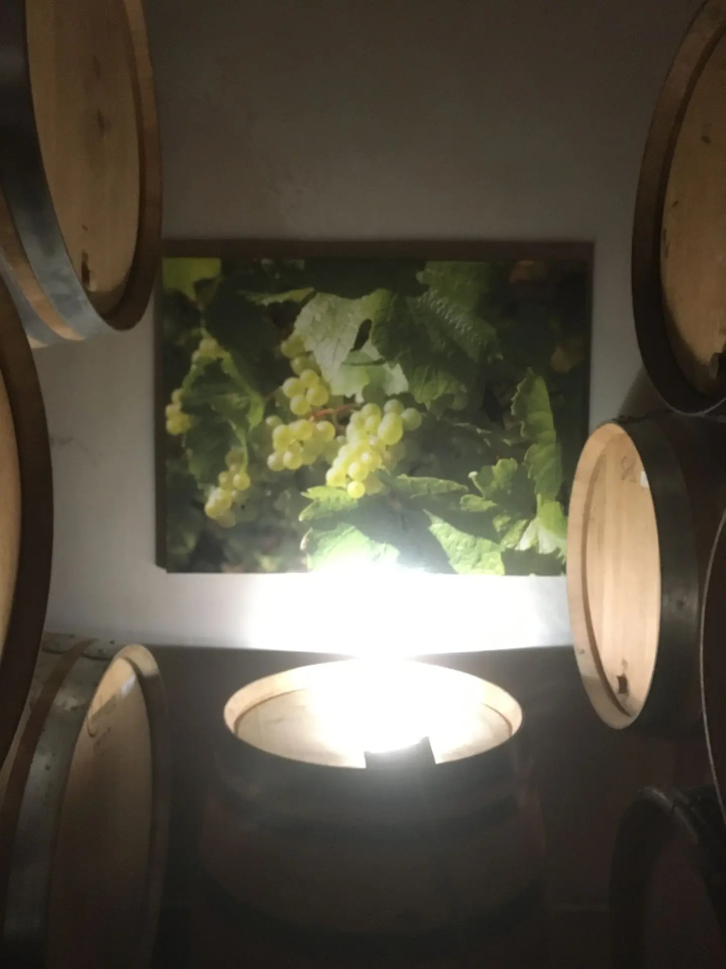 Domaine Huber-Verdereau — vue 5