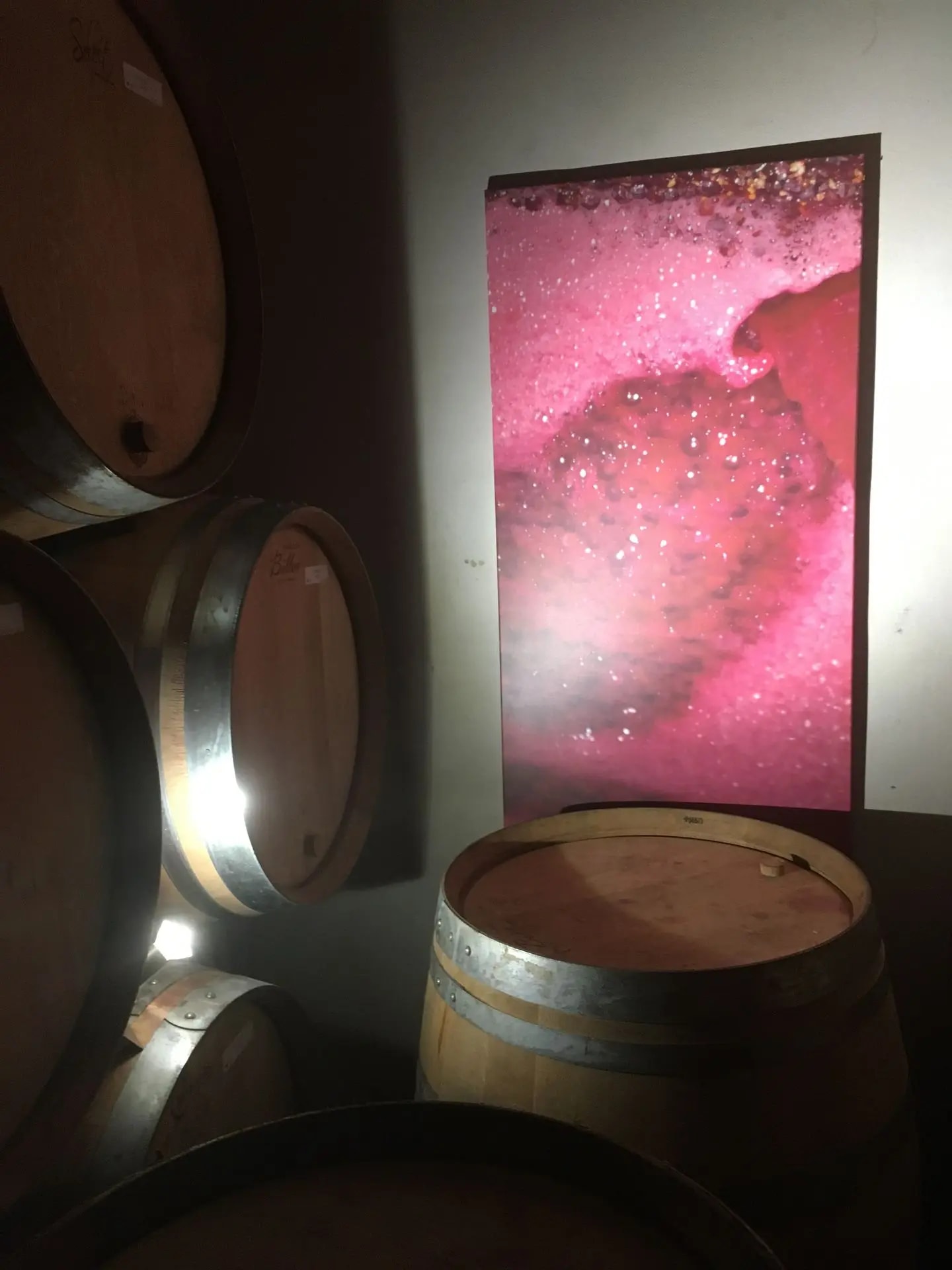 Domaine Huber-Verdereau — vue 4