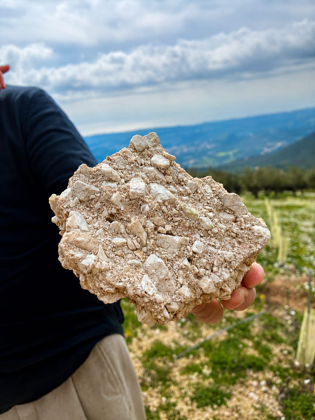 Domaine Sarris — vue 4