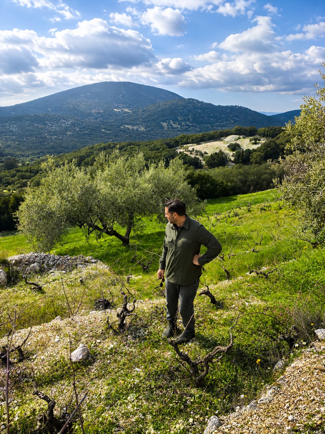 Domaine Sarris — vue 3
