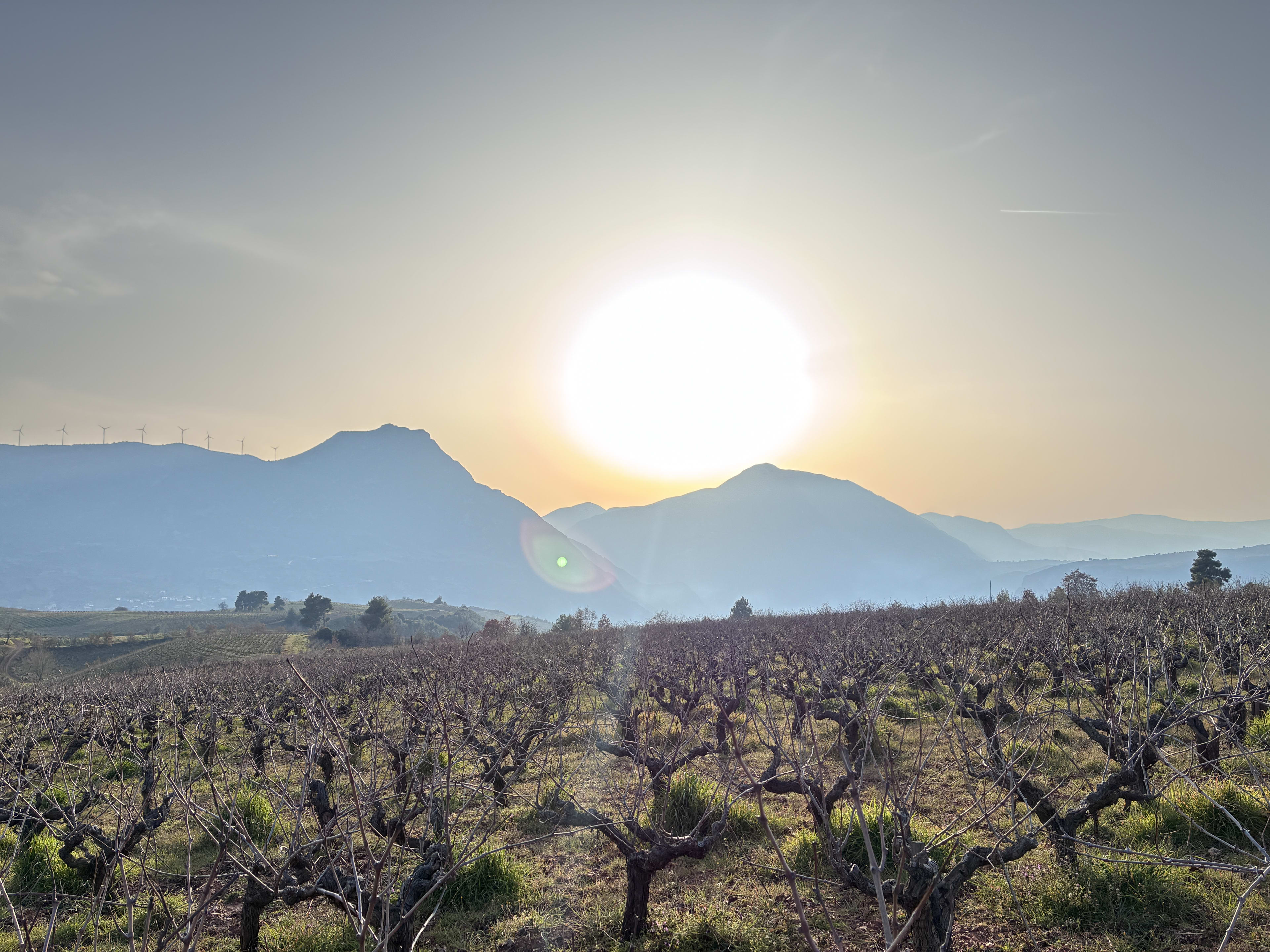 Domaine Tetramythos
