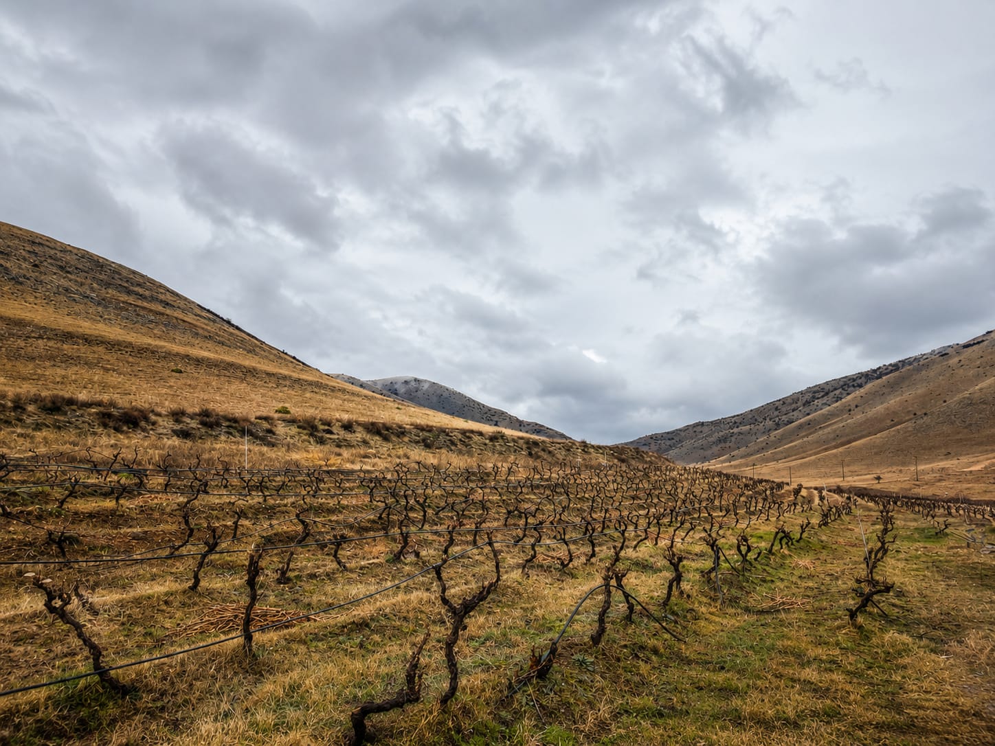 Domaine Vaimakis