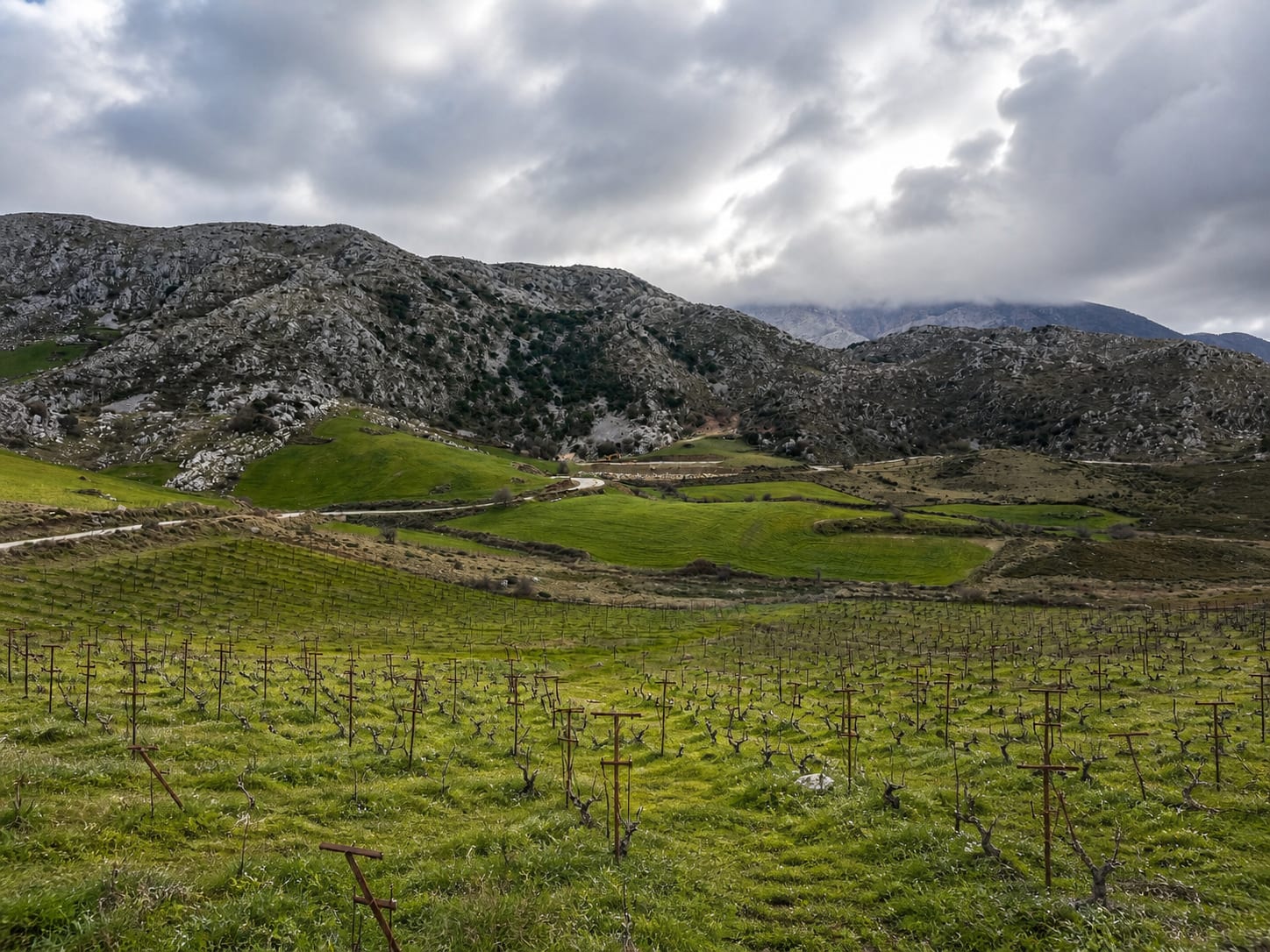 Domaine Zoumberakis