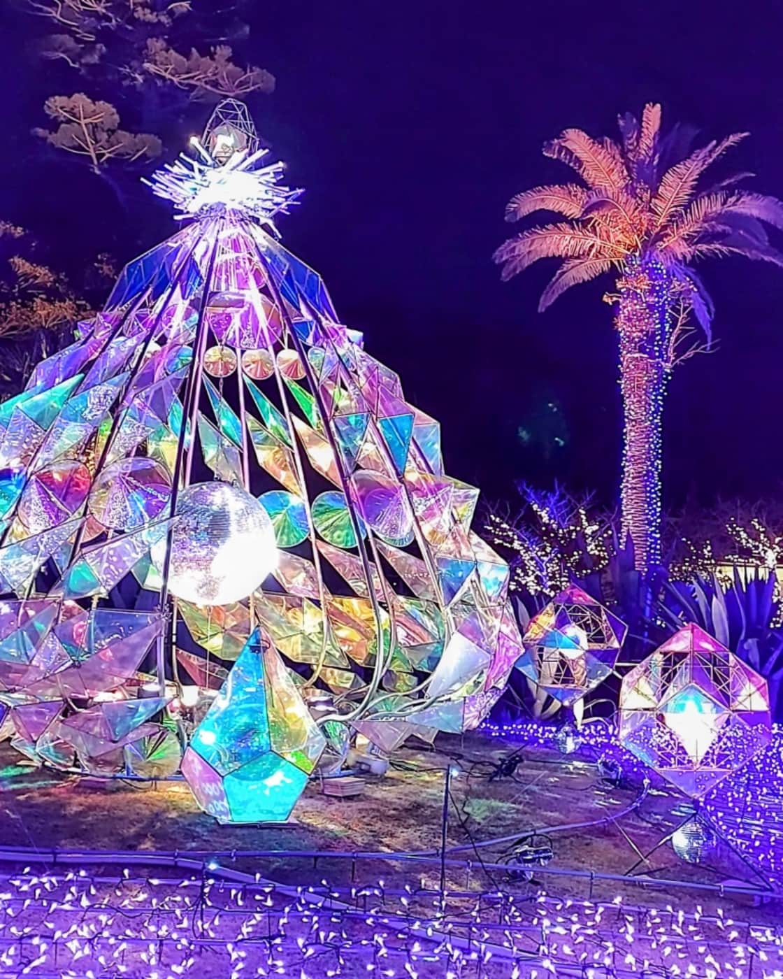 Winter Illuminations