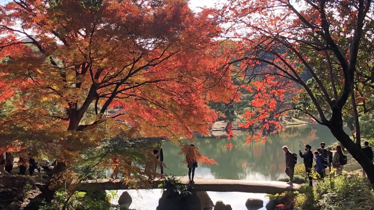 Rikugien Gardens